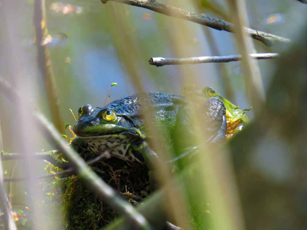 Photograph by Анастасия Романова