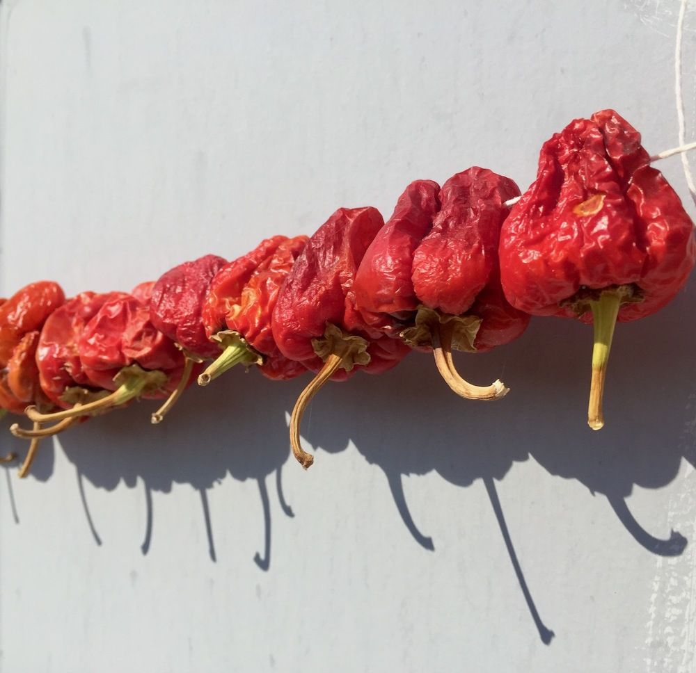 Photograph by Ahmet Aka