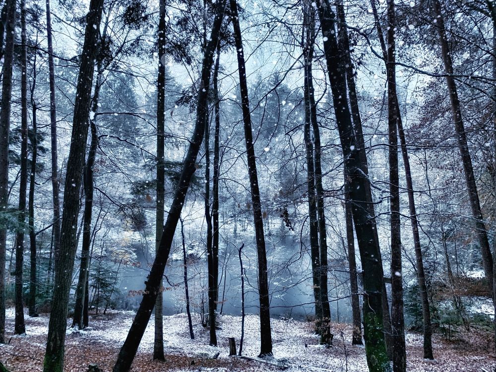 Photograph by Swetlana Lebedev