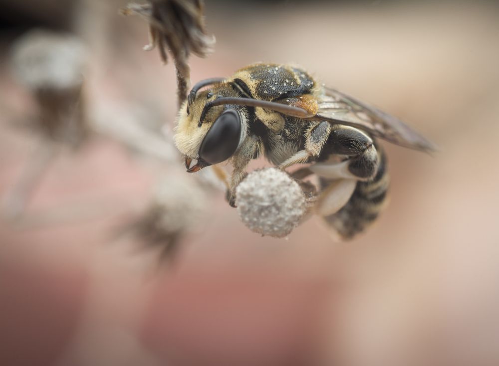 Photograph by SWEE MING YOUNG
