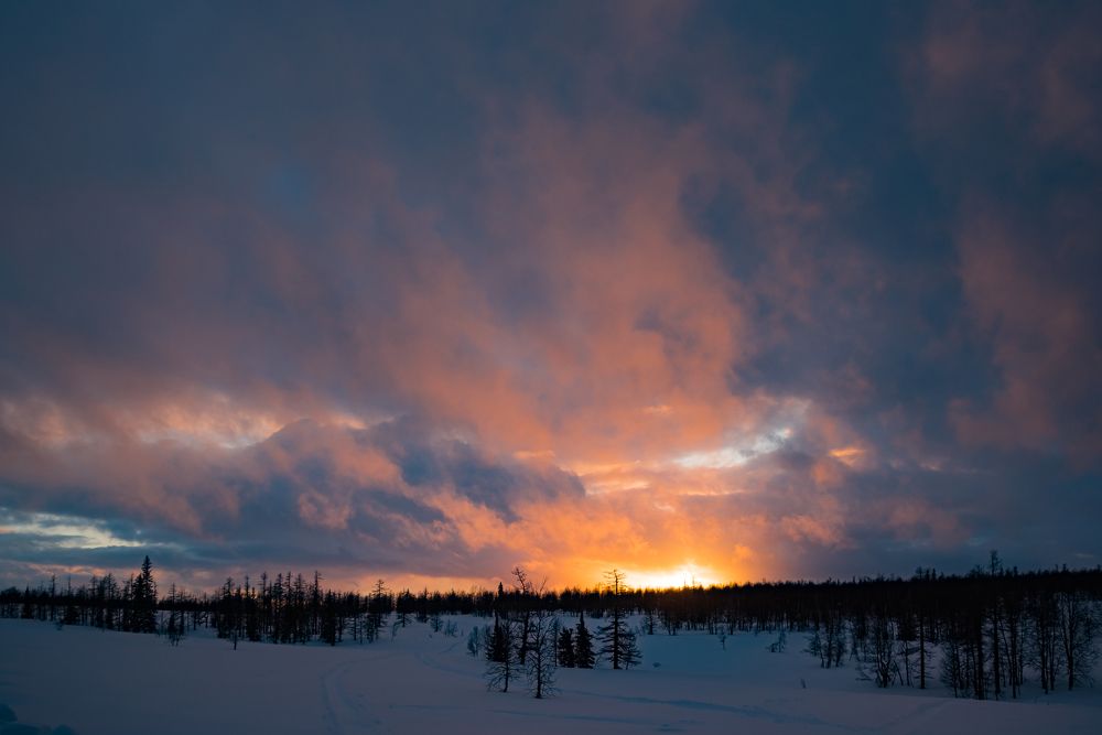 Photograph by Сергей Пашнов