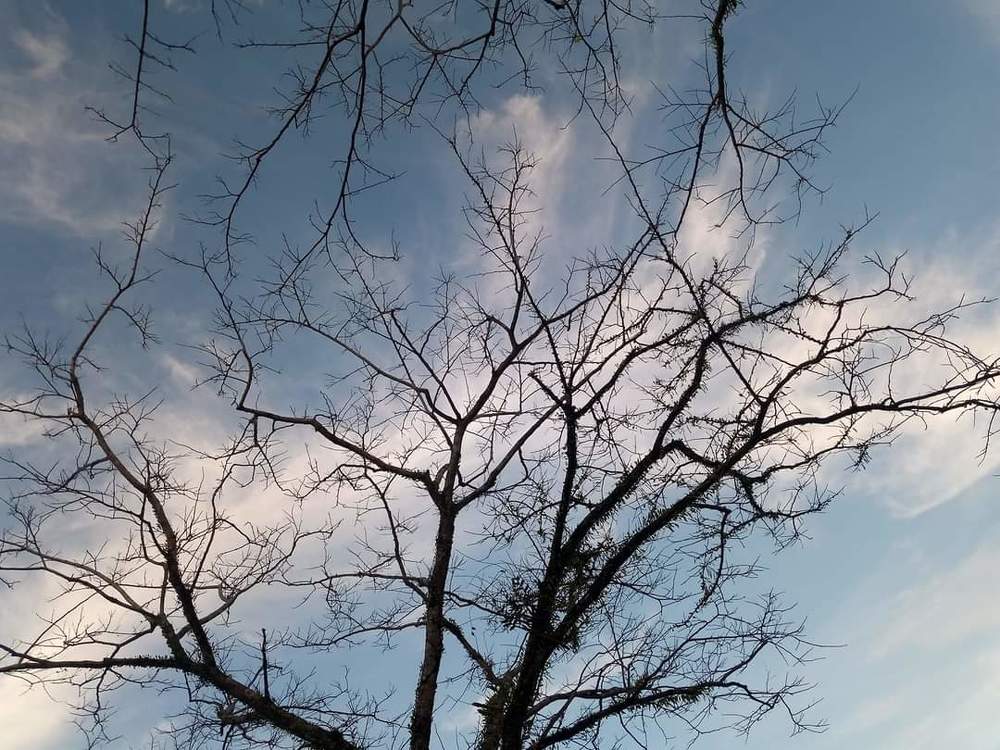 Photograph by Ginalyn Estabillo