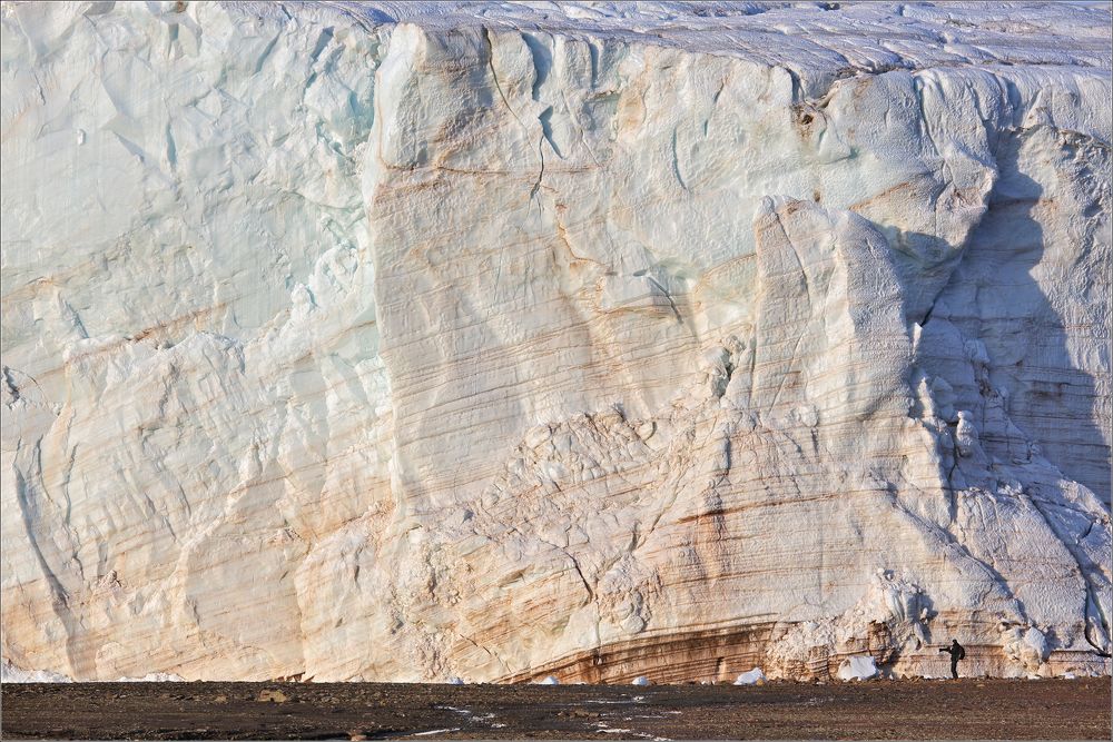 У тонкой кромки ледника Академии Наук на острове Комсомолец архипелага Северная Земля...