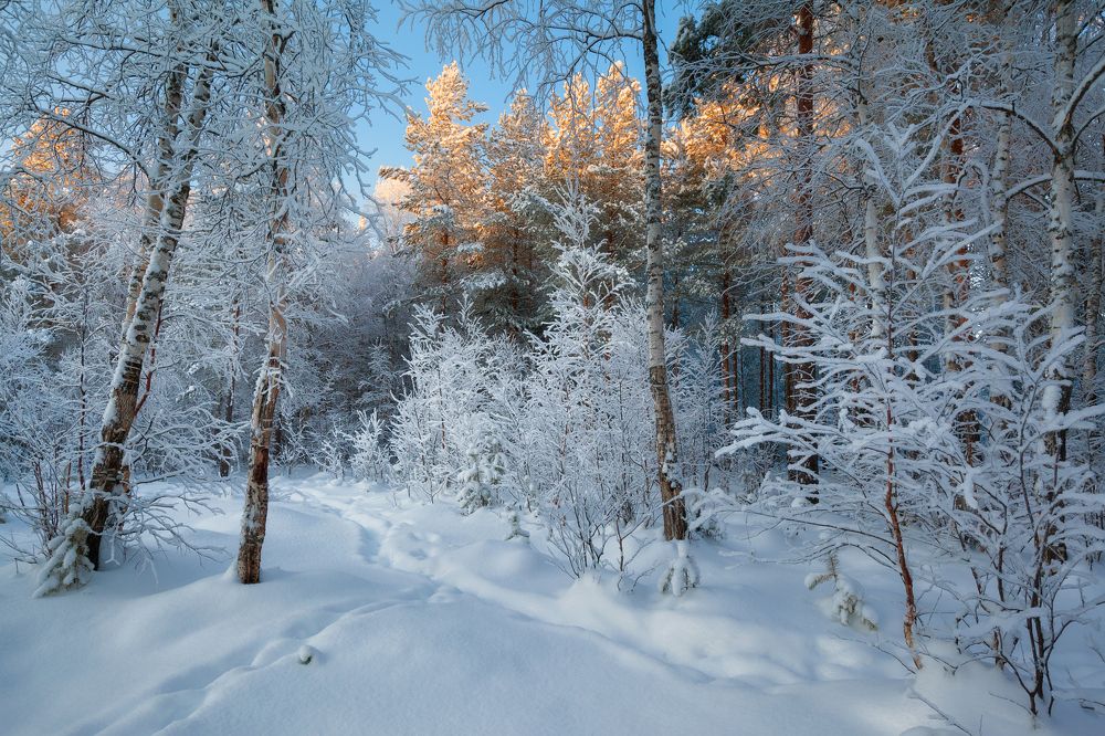 Photograph by Александр Кузнецов