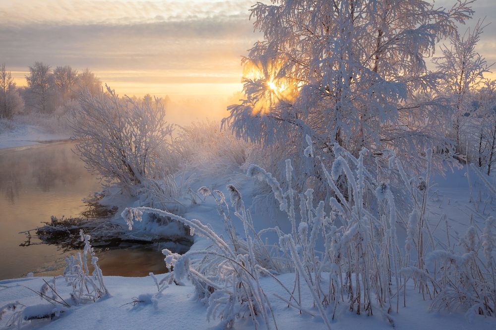 Photograph by Александр Кузнецов