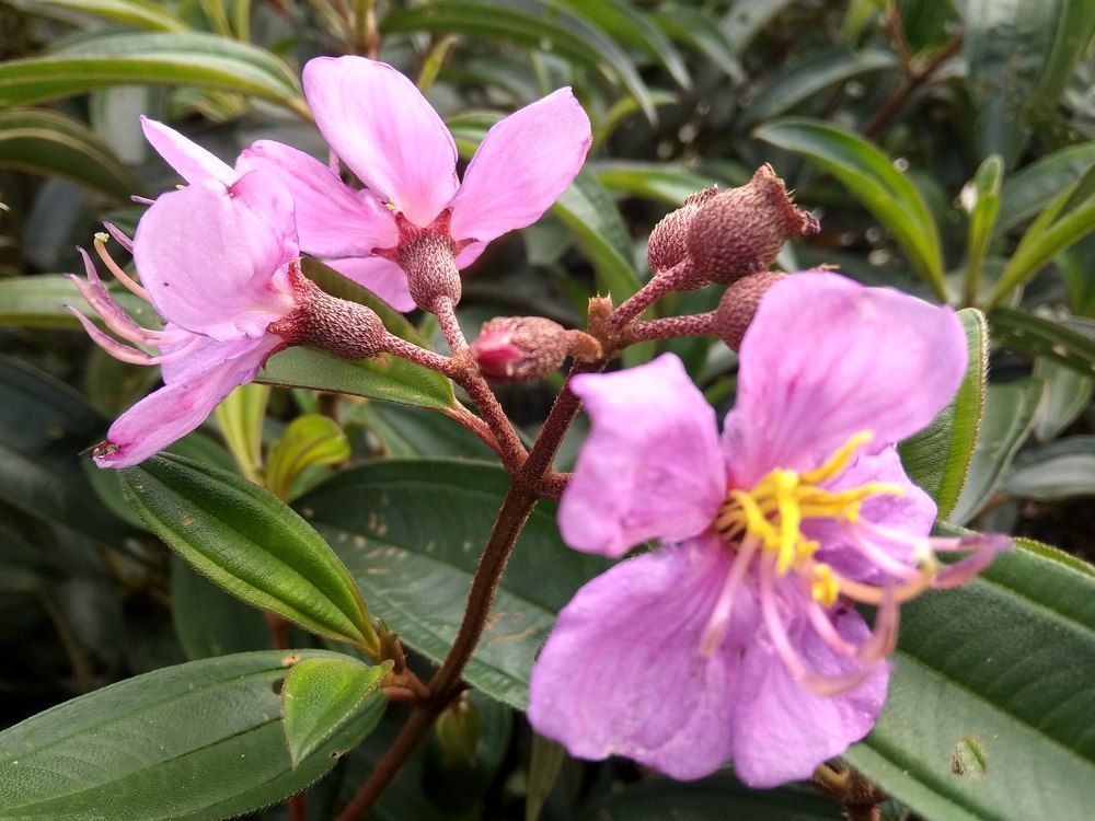 Photograph by Muslimin Muslimin Siddik