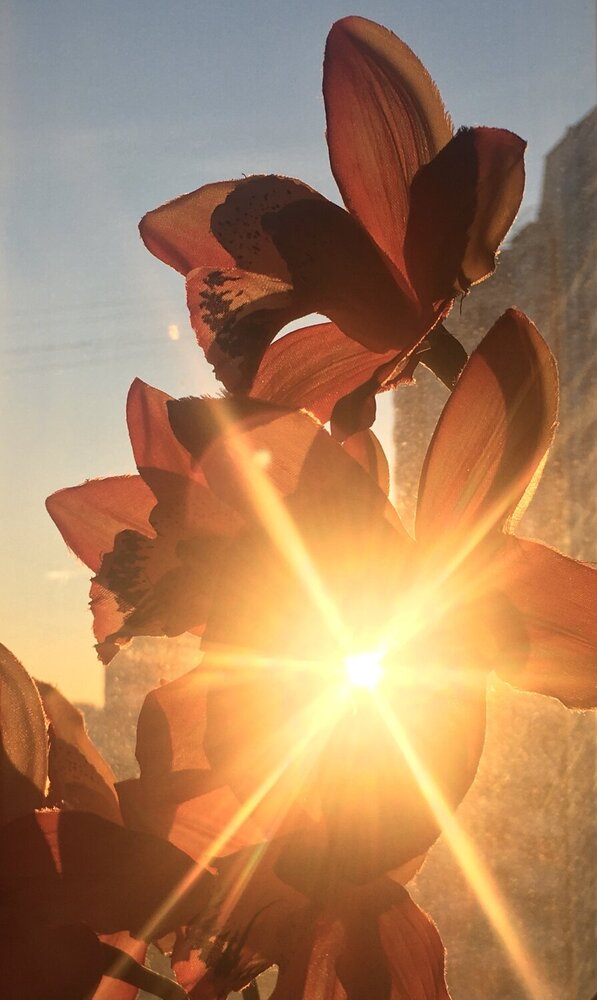 Photograph by Екатерина Носенко