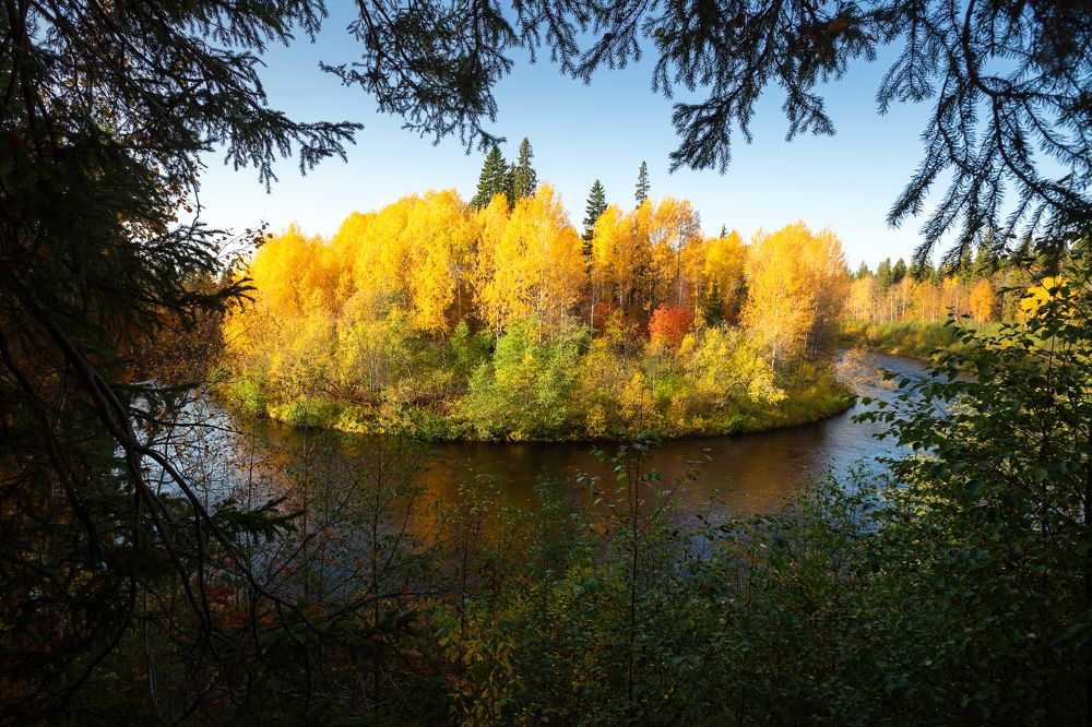 Photograph by Александр Кузнецов