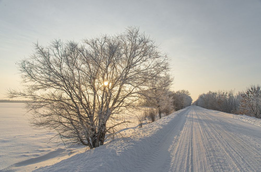 Photograph by Илья Донских