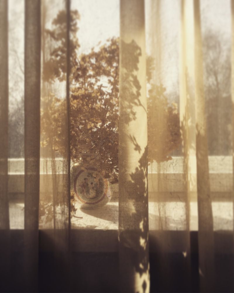 Фотография автора Ольга Горюнова