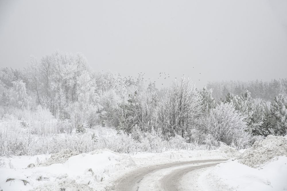 Photograph by Илья Донских