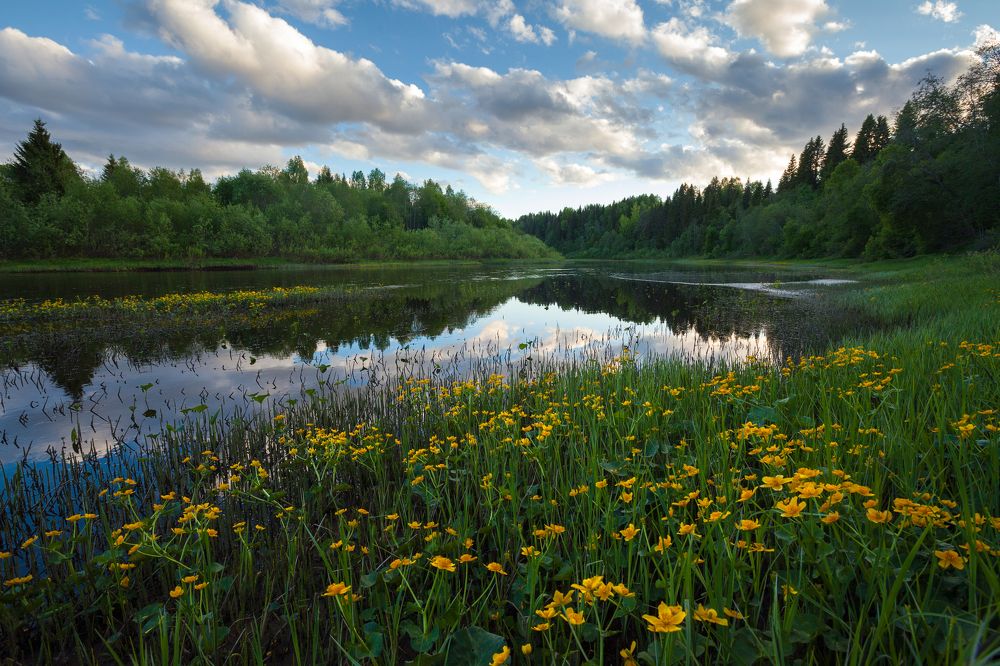 Photograph by Александр Кузнецов