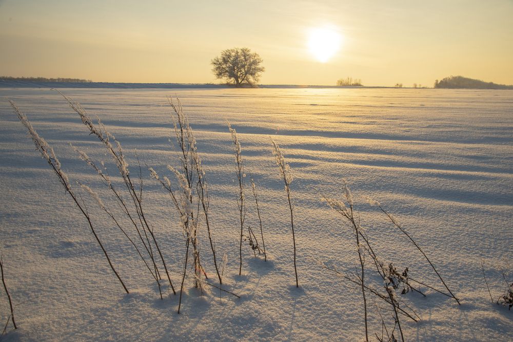 Photograph by Илья Донских