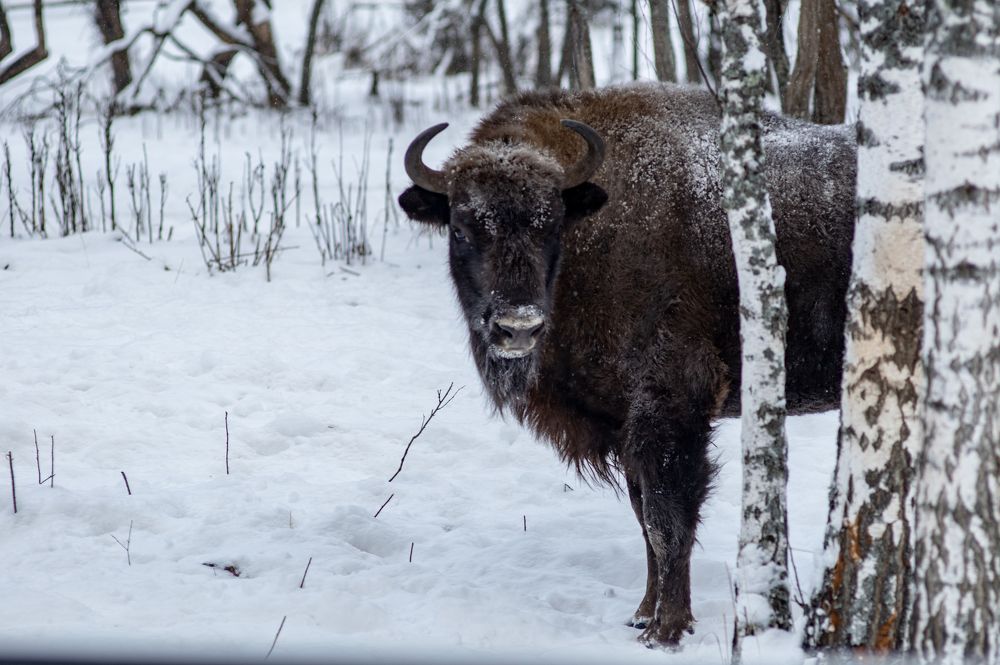 Photograph by Sergey