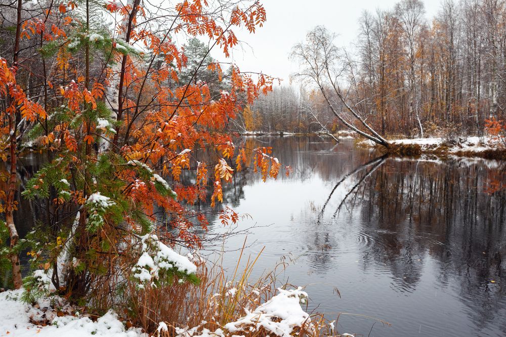 Photograph by Александр Кузнецов