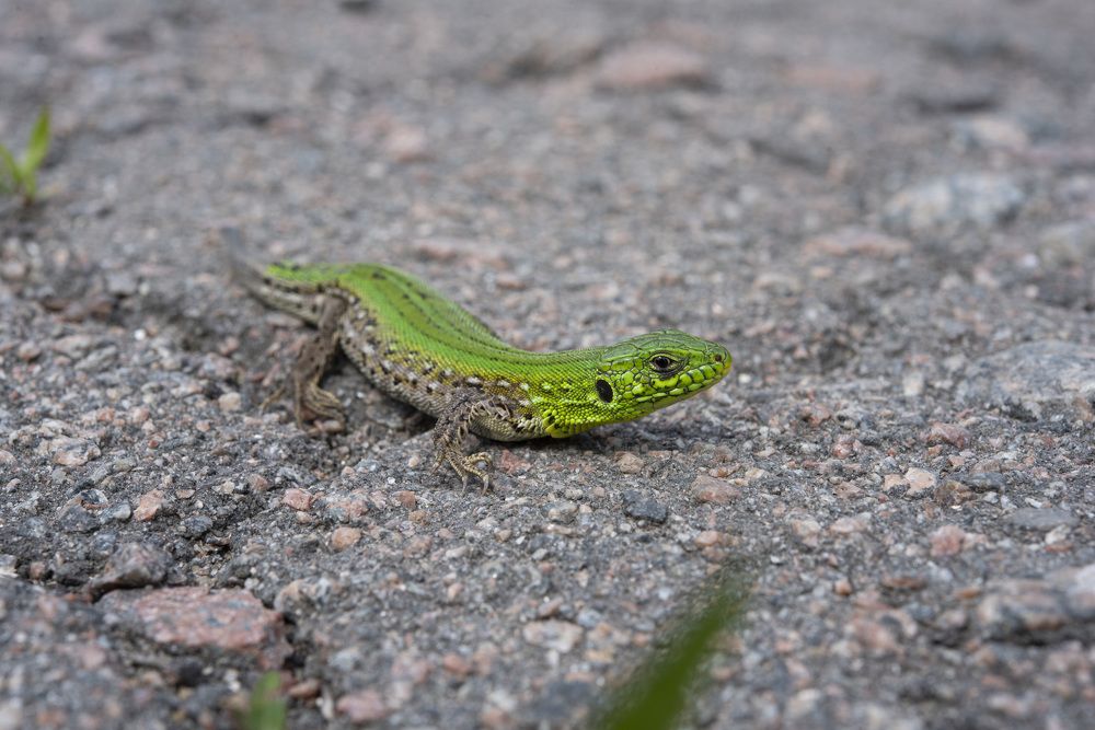 Photograph by Илья Донских