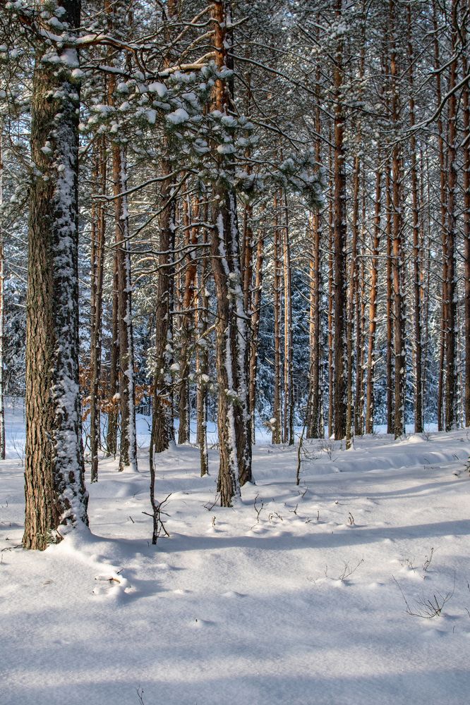 Photograph by Sergey