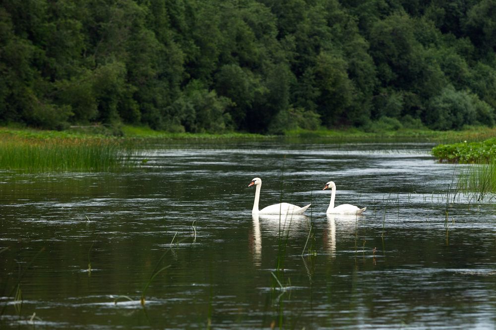 Photograph by Александр Кузнецов