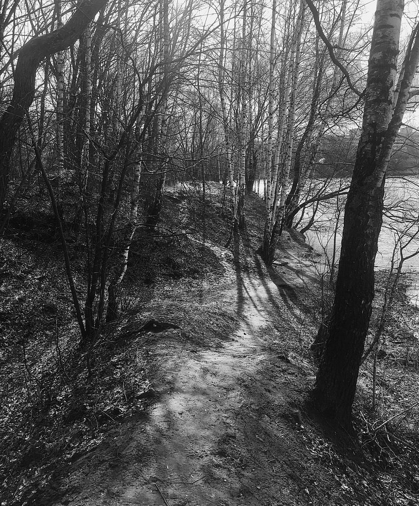 Фотография автора Ольга Горюнова