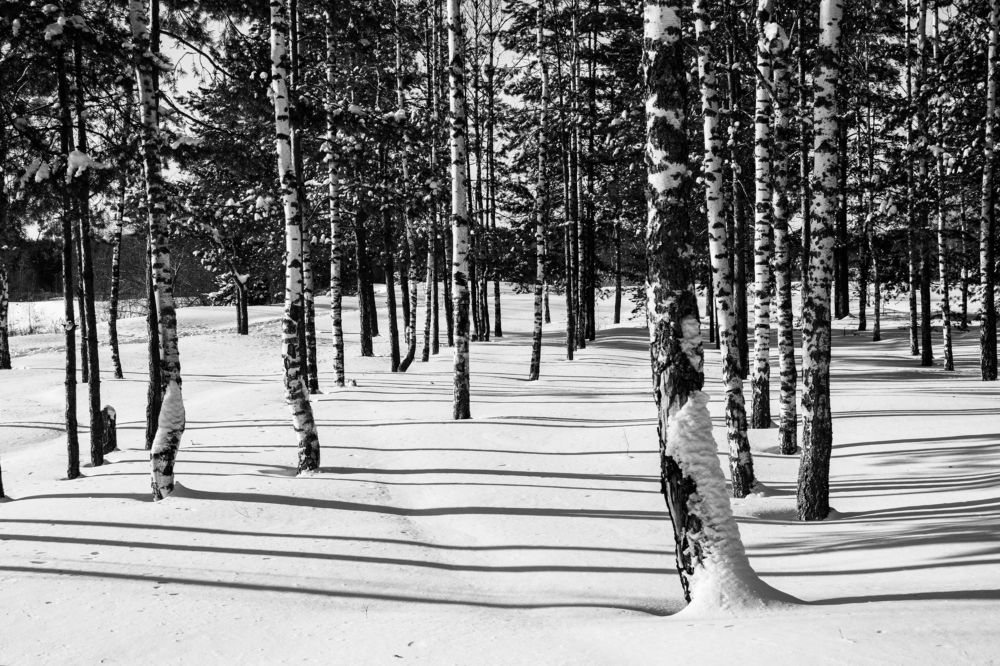 Photograph by Sergey