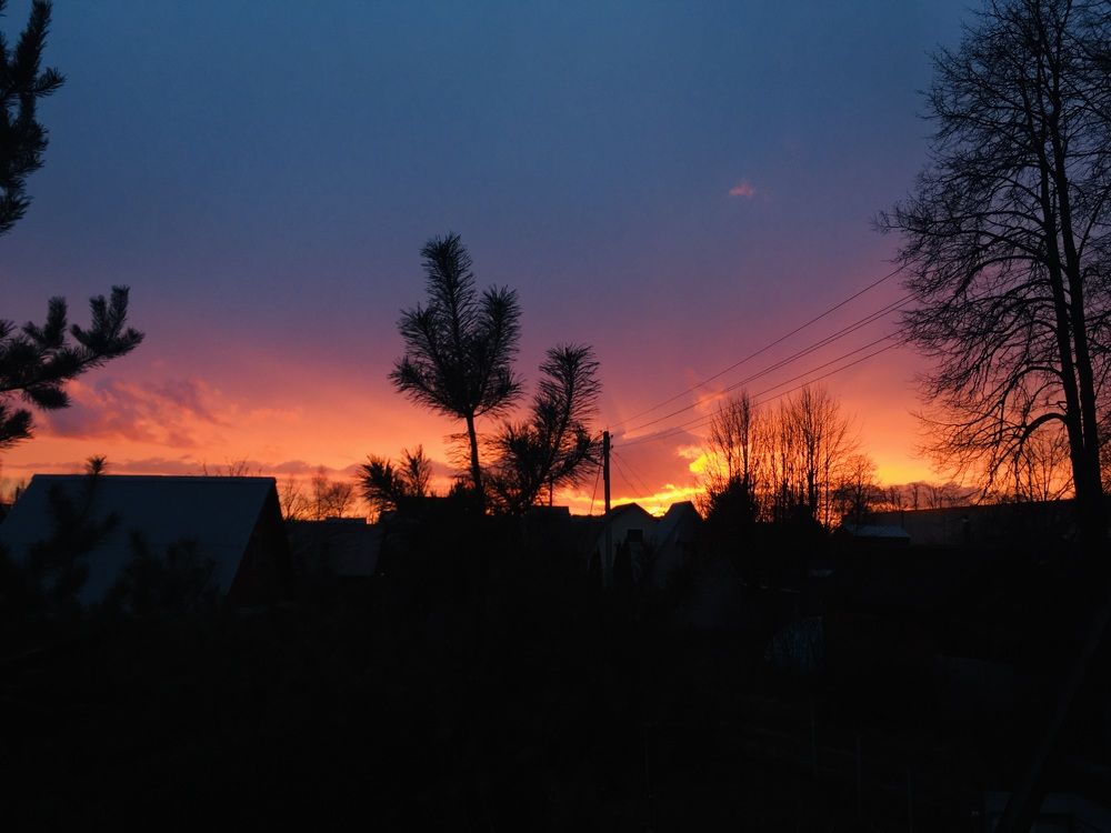 Photograph by Екатерина Носенко