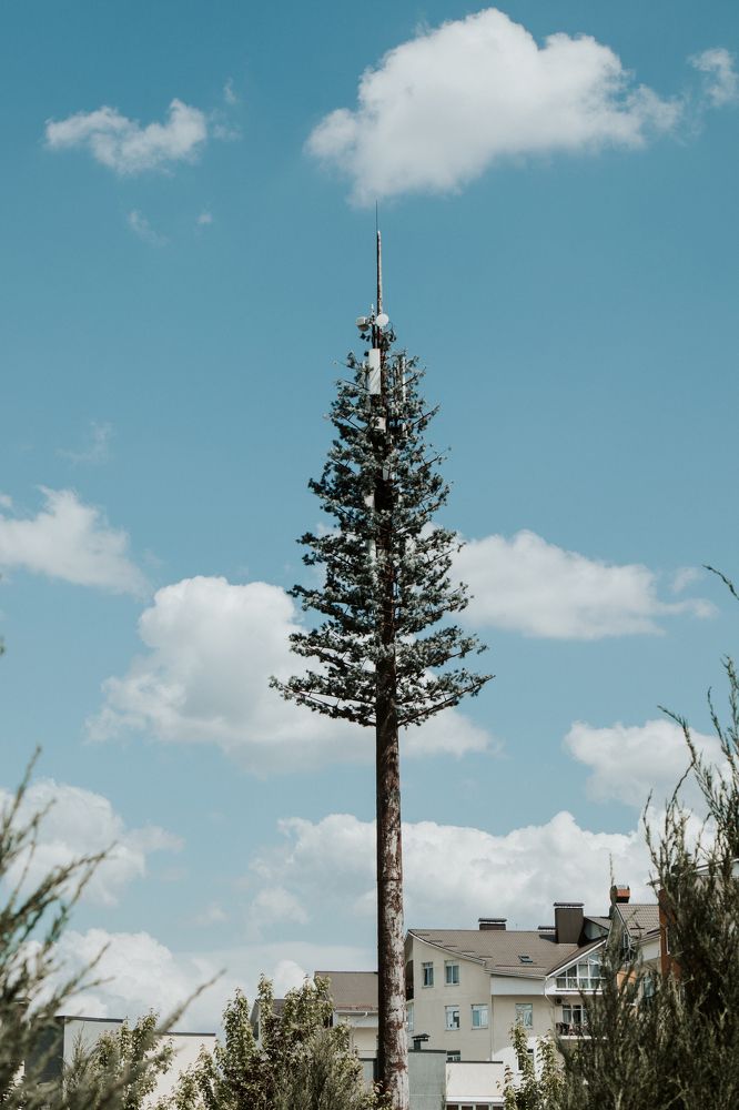 Photograph by Александр Корнев