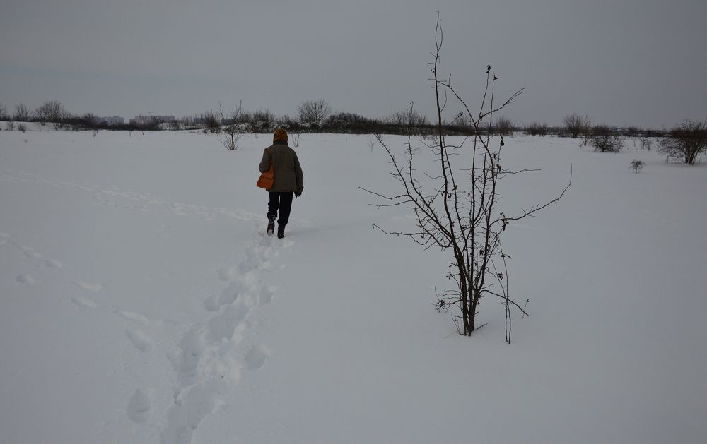 Photograph by Юрий Солодовников