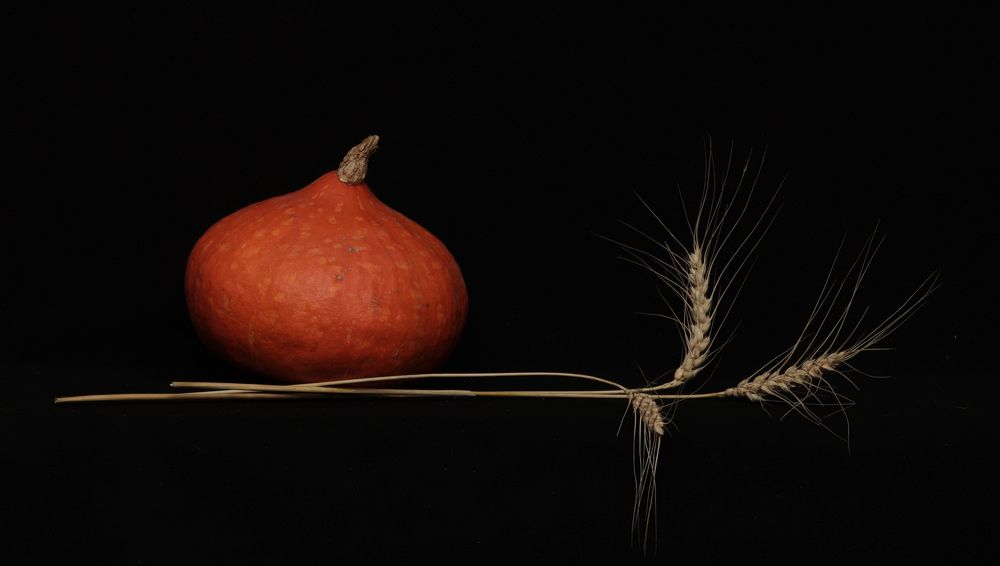 Жизнелюбие и жизнестойкость