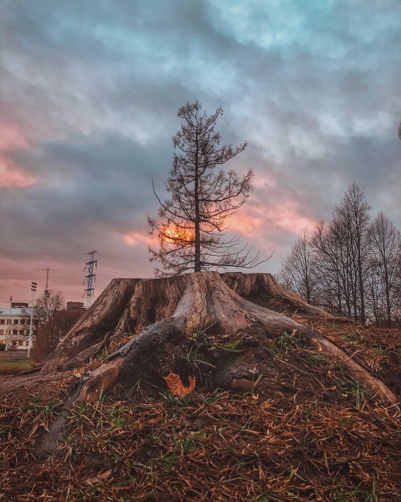 Photograph by Павел