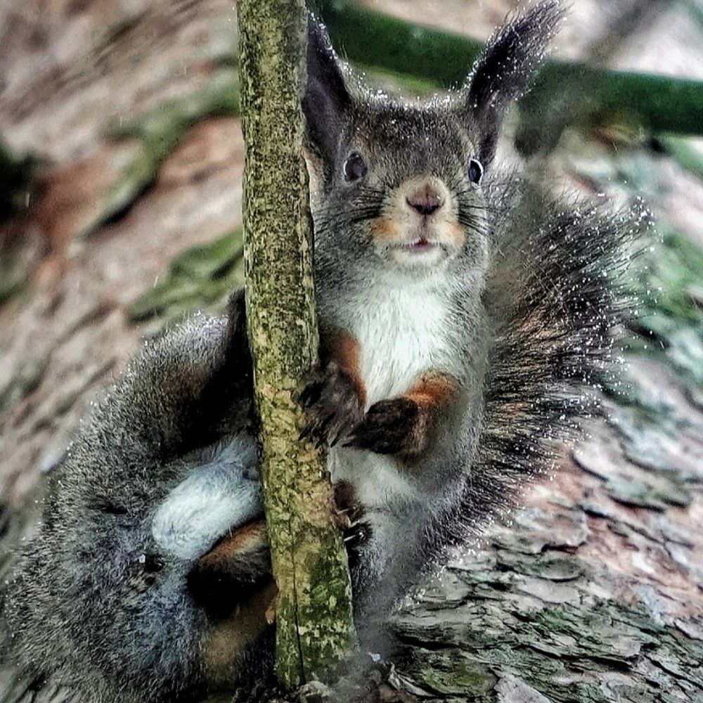 Photograph by Марина Безенкина
