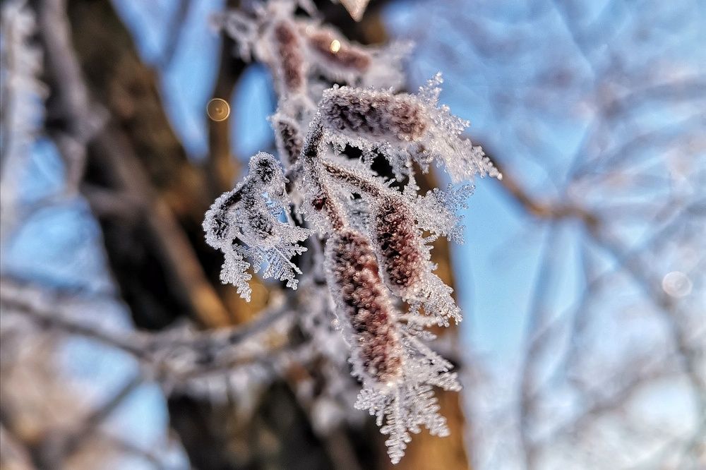 Photograph by Маргарита