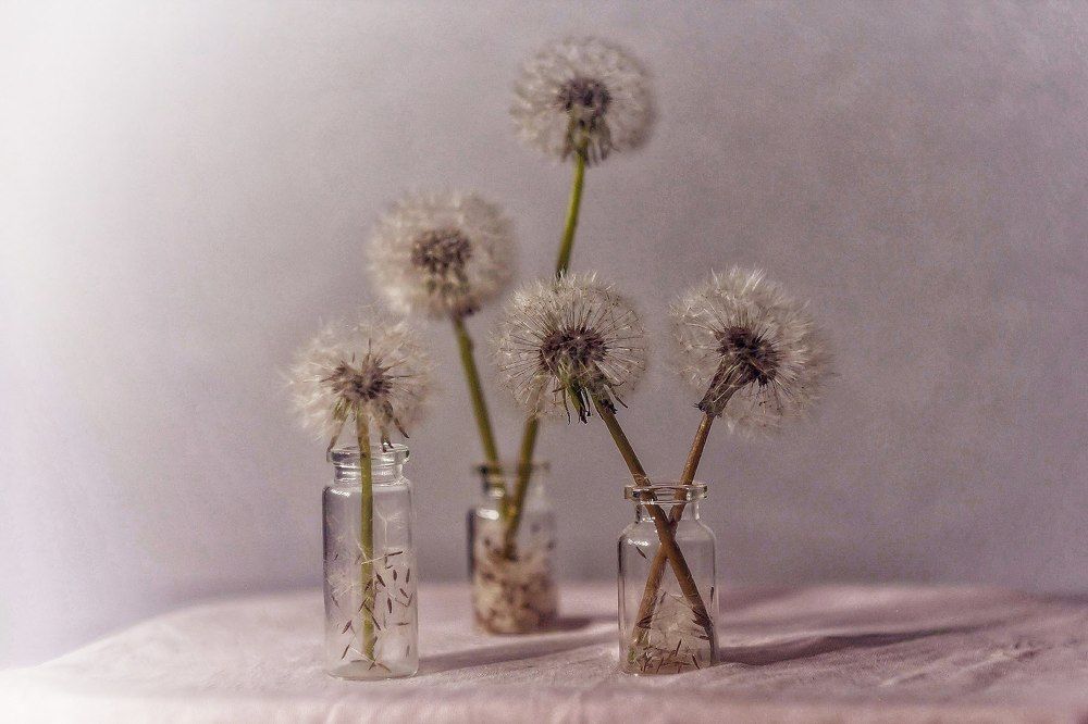 Photograph by Евгения Уманец