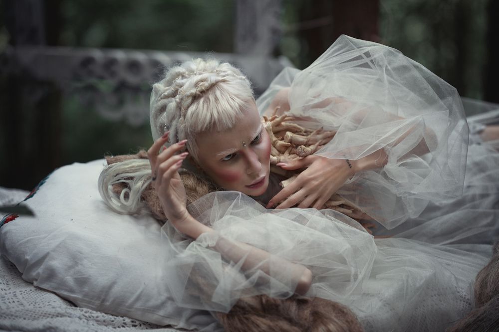 Ведьмин лес