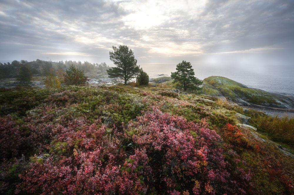 Photograph by Юлия Лаптева