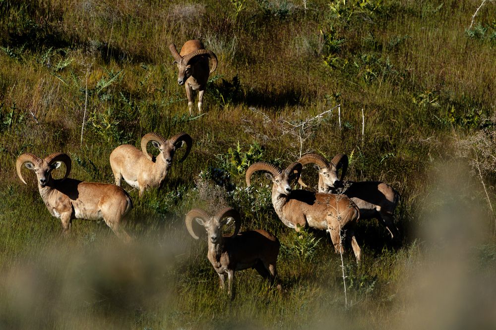 Photograph by sohrab kaveh