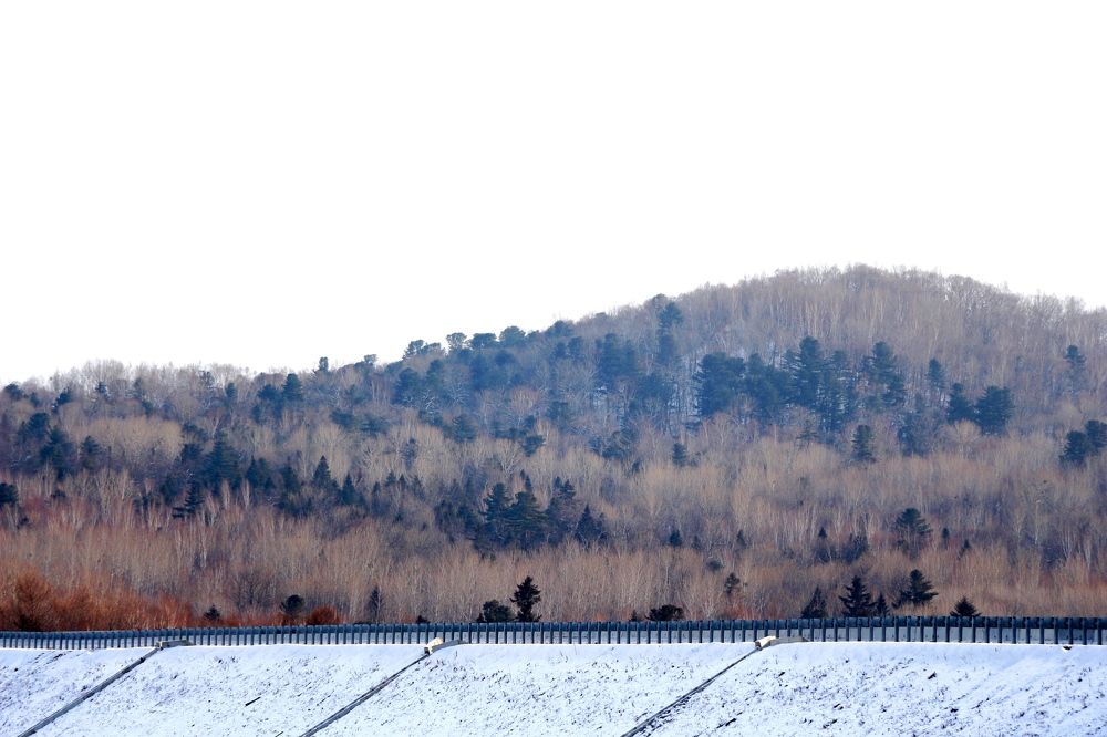 Photograph by Svetlana Victorovna Kibyakova