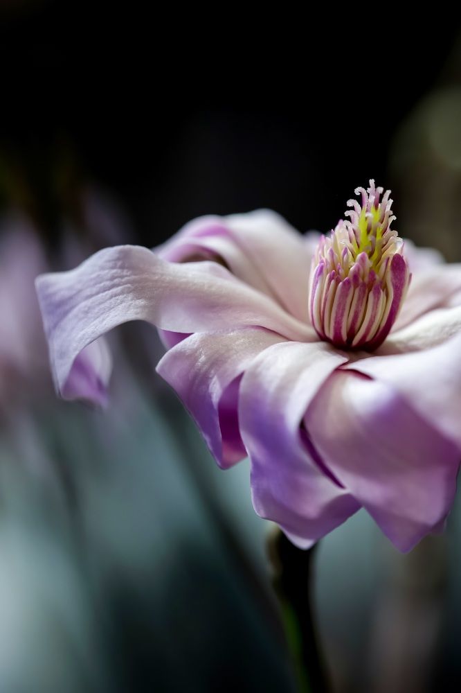 Photograph by Татьяна Кытина