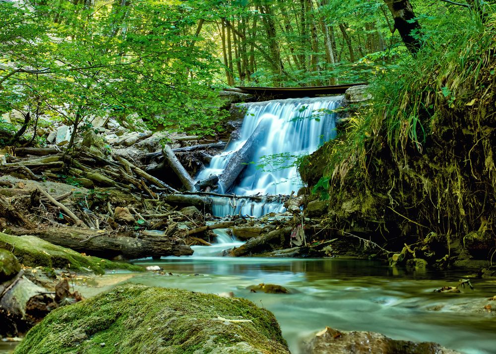 Photograph by Максим Сидоров