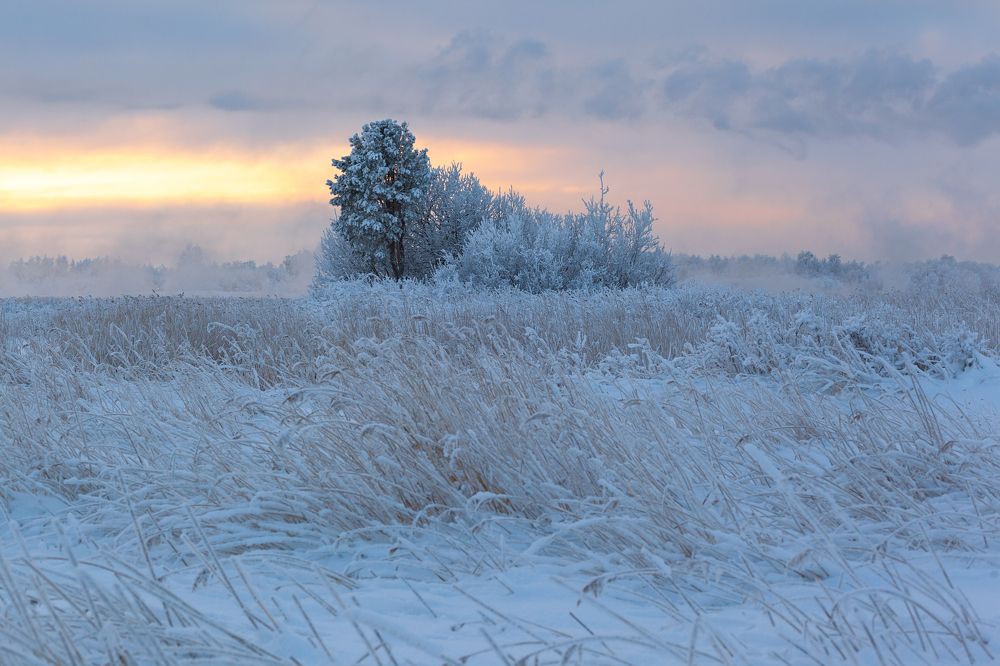 Photograph by Александр Кузнецов
