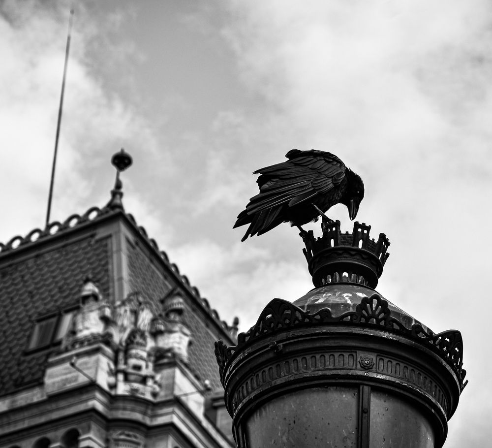 Photograph by Matthaios Stavropoulos