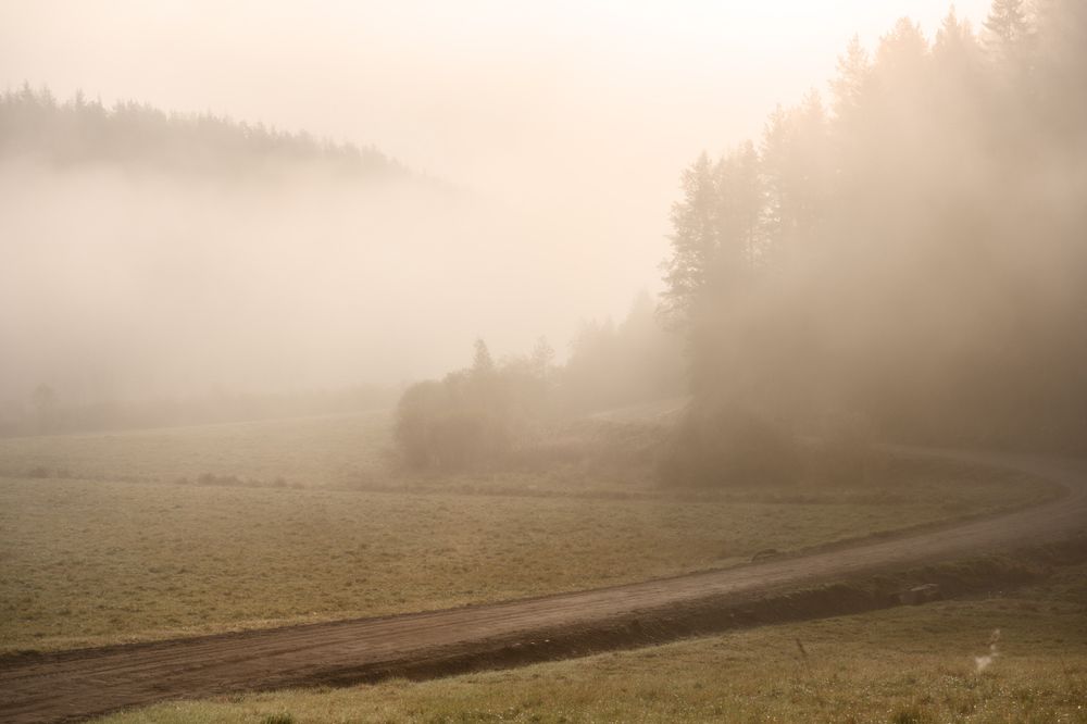 Photograph by Юлия Лаптева