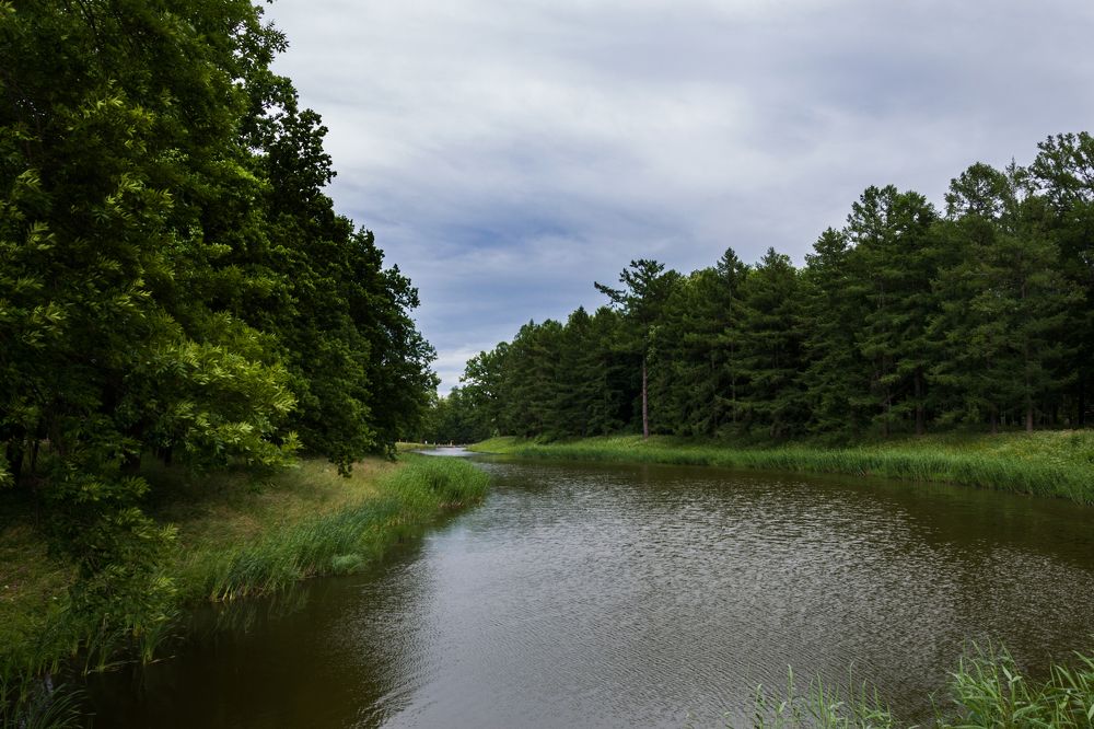 Saint Petersburg. Tsarskoe Selo
