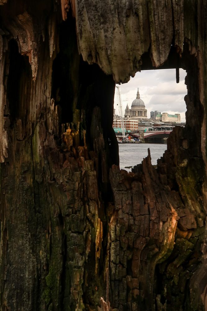 St Paul's Cathedral in London