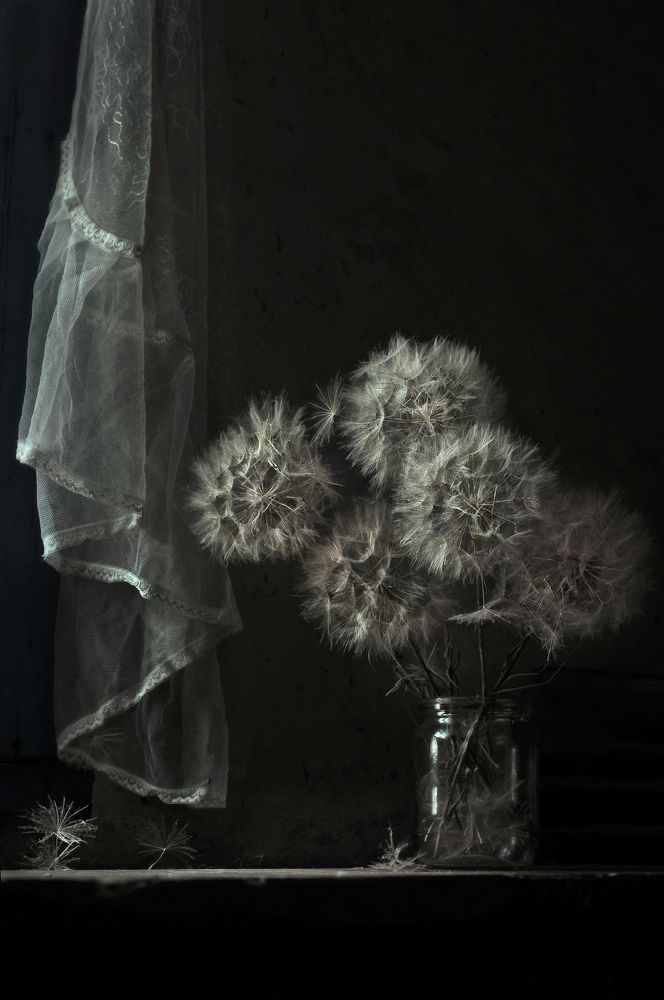 Вдали от суеты