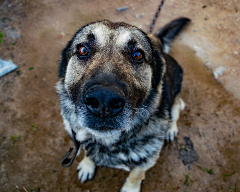 Photograph by Роман