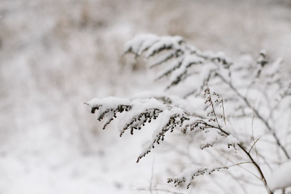 Photograph by Светлана Збраилова