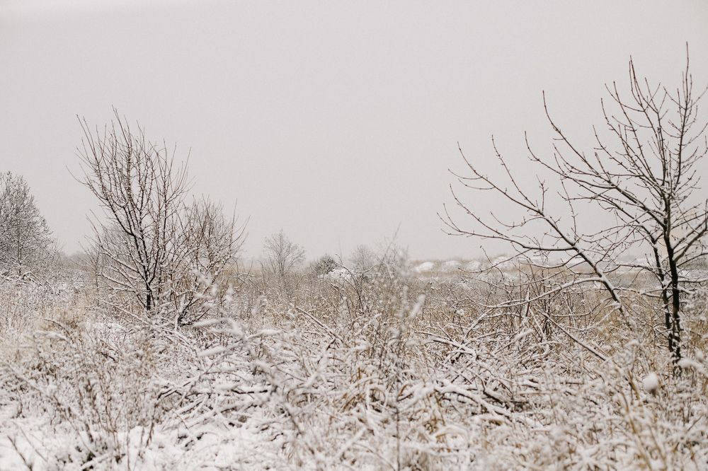 Photograph by Светлана Збраилова