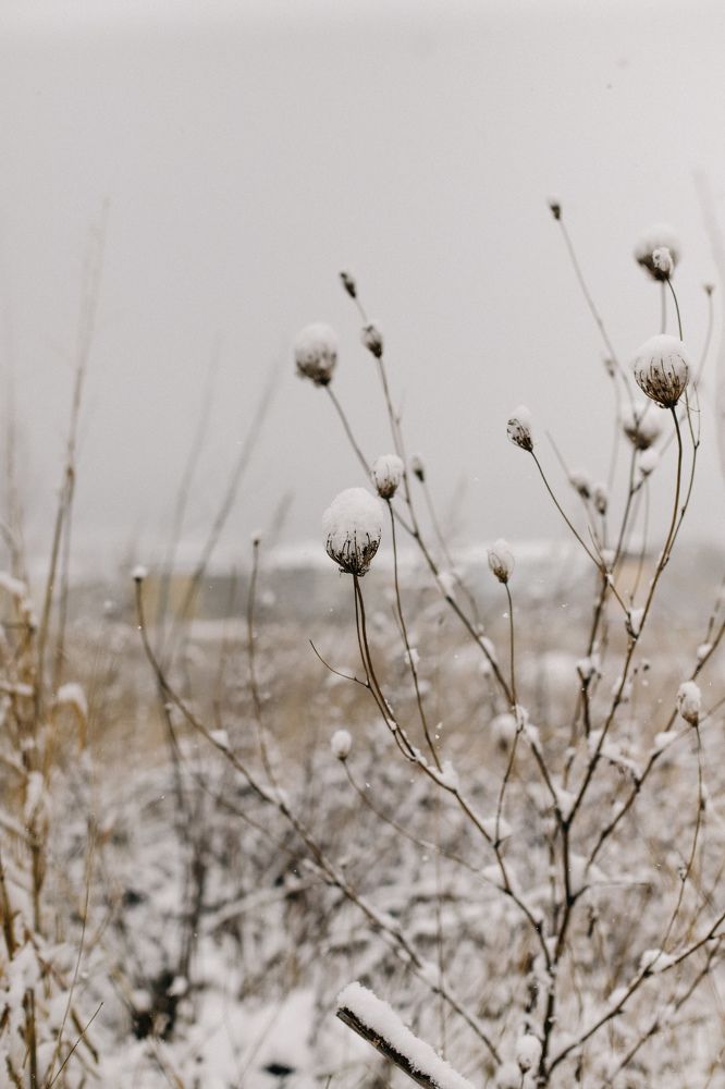 Photograph by Светлана Збраилова