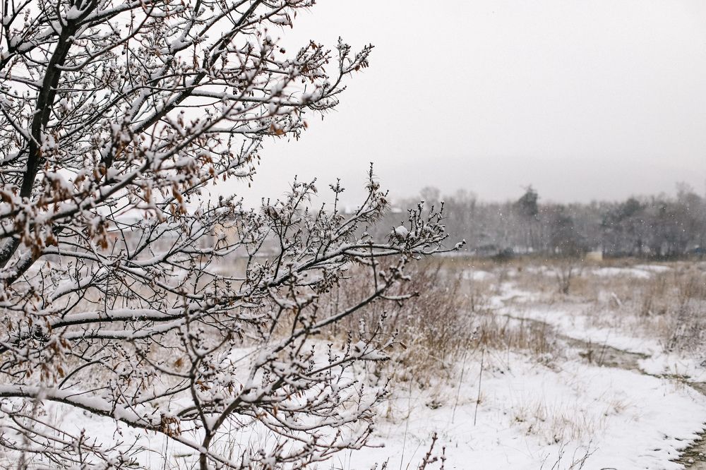 Photograph by Светлана Збраилова