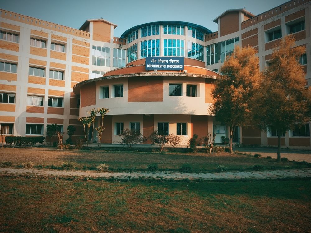 Photograph by Srija Lingwal